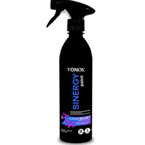 SINERGY PAINT